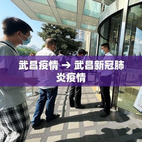 武昌疫情 → 武昌新冠肺炎疫情 武昌疫情 → 武昌新冠肺炎疫情