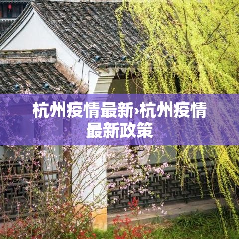 杭州疫情最新›杭州疫情最新政策