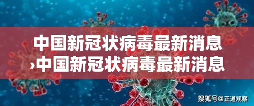 中国新冠状病毒最新消息›中国新冠状病毒最新消息今天 中国新冠状病毒最新消息›中国新冠状病毒最新消息今天