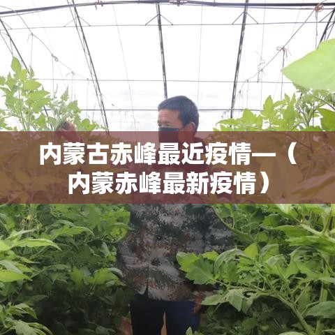 内蒙古赤峰最近疫情—(内蒙赤峰最新疫情) 内蒙古赤峰最近疫情—(内蒙赤峰最新疫情)