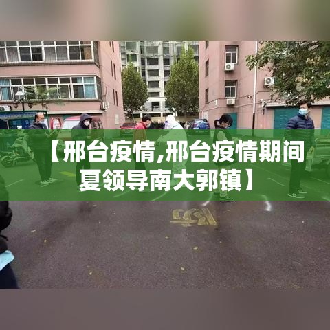 【邢台疫情,邢台疫情期间夏领导南大郭镇】 【邢台疫情,邢台疫情期间夏领导南大郭镇】