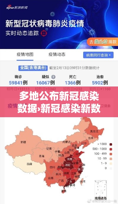 多地公布新冠感染数据›新冠感染新数据公布 多地公布新冠感染数据›新冠感染新数据公布