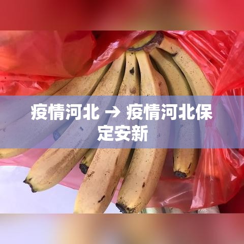 疫情河北 → 疫情河北保定安新 疫情河北 → 疫情河北保定安新