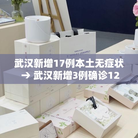 武汉新增17例本土无症状 → 武汉新增3例确诊12例无症状 武汉新增17例本土无症状 → 武汉新增3例确诊12例无症状