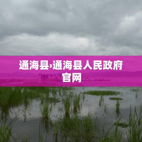 通海县›通海县人民政府官网 通海县›通海县人民政府官网