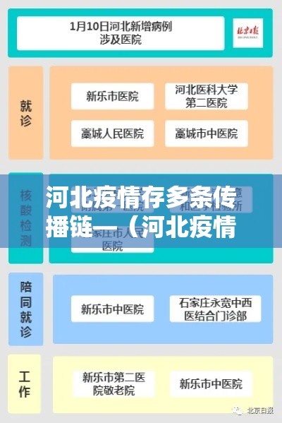 河北疫情存多条传播链—(河北疫情传播轨迹) 河北疫情存多条传播链—(河北疫情传播轨迹)