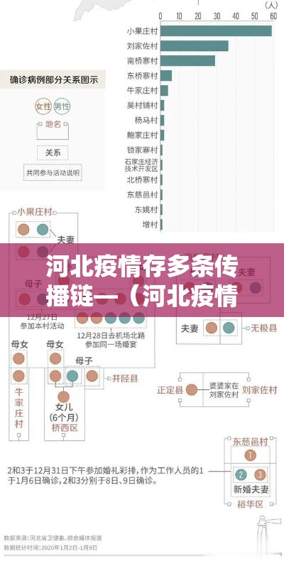 河北疫情存多条传播链—(河北疫情传播轨迹) 河北疫情存多条传播链—(河北疫情传播轨迹)