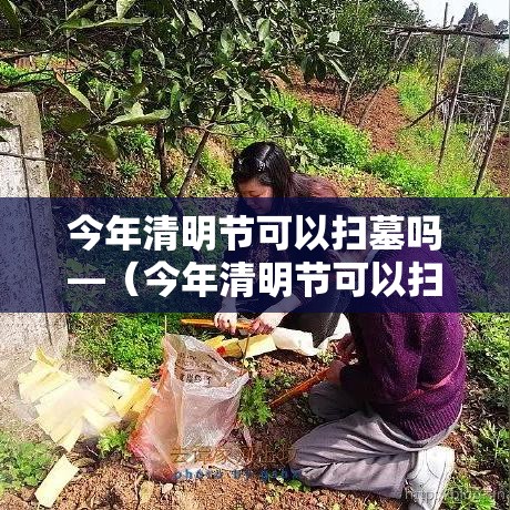 今年清明节可以扫墓吗—(今年清明节可以扫墓吗视频) 今年清明节可以扫墓吗—(今年清明节可以扫墓吗视频)