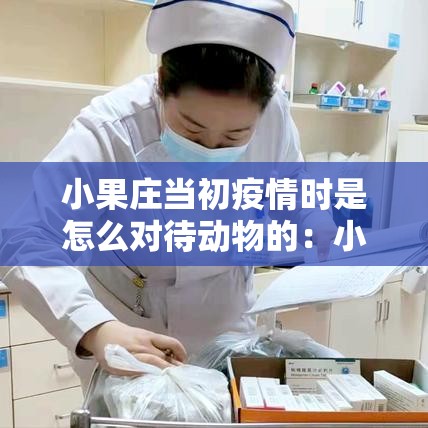 小果庄当初疫情时是怎么对待动物的:小果庄病毒来源 小果庄当初疫情时是怎么对待动物的:小果庄病毒来源