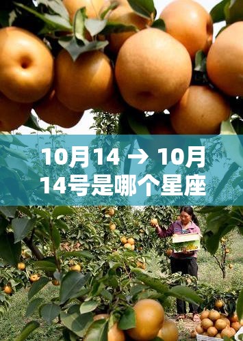 10月14 → 10月14号是哪个星座 10月14 → 10月14号是哪个星座