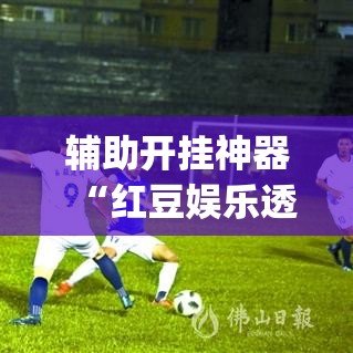 辅助开挂神器“红豆娱乐透视辅助器(辅助神器)开挂详细教程 辅助开挂神器“红豆娱乐透视辅助器(辅助神器)开挂详细教程