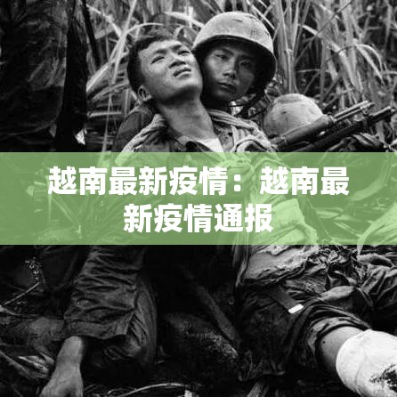 越南最新疫情:越南最新疫情通报 越南最新疫情:越南最新疫情通报