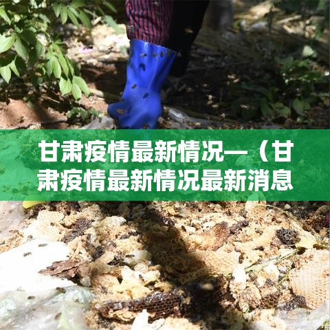 甘肃疫情最新情况—(甘肃疫情最新情况最新消息今天) 甘肃疫情最新情况—(甘肃疫情最新情况最新消息今天)