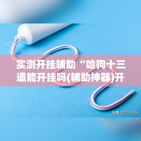 实测开挂辅助“哈狗十三道能开挂吗(辅助神器)开挂详细教程 实测开挂辅助“哈狗十三道能开挂吗(辅助神器)开挂详细教程