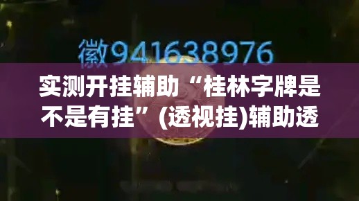 实测开挂辅助“桂林字牌是不是有挂	”(透视挂)辅助透视教程