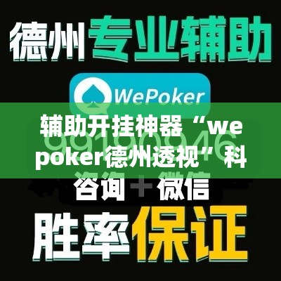 辅助开挂神器“wepoker德州透视	”科技辅助神器手机版教程