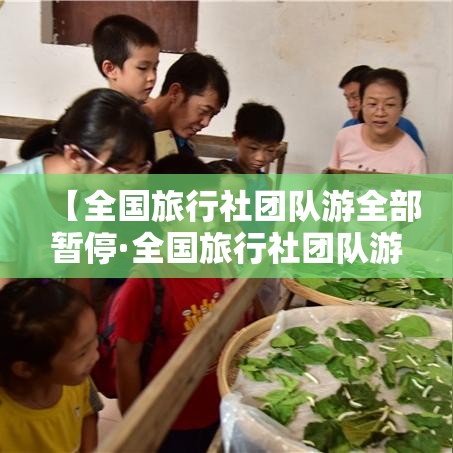 【全国旅行社团队游全部暂停·全国旅行社团队游暂停多久】 【全国旅行社团队游全部暂停·全国旅行社团队游暂停多久】