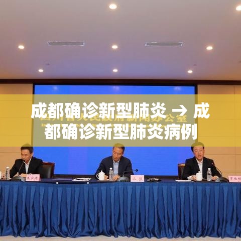 成都确诊新型肺炎 → 成都确诊新型肺炎病例 成都确诊新型肺炎 → 成都确诊新型肺炎病例