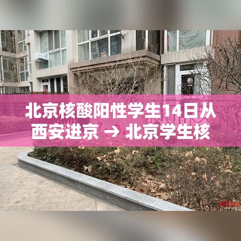 北京核酸阳性学生14日从西安进京 → 北京学生核酸检测有阳性的吧 北京核酸阳性学生14日从西安进京 → 北京学生核酸检测有阳性的吧