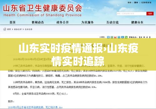 山东实时疫情通报›山东疫情实时追踪 山东实时疫情通报›山东疫情实时追踪
