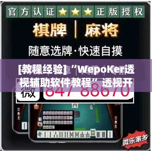[教程经验]“WepoKer透视辅助软件教程”透视开挂辅助教程
