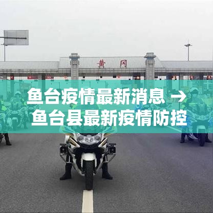 鱼台疫情最新消息 → 鱼台县最新疫情防控 鱼台疫情最新消息 → 鱼台县最新疫情防控