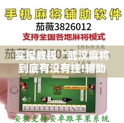 实操教程“武汉麻将到底有没有挂!辅助神器插件下载 实操教程“武汉麻将到底有没有挂!辅助神器插件下载