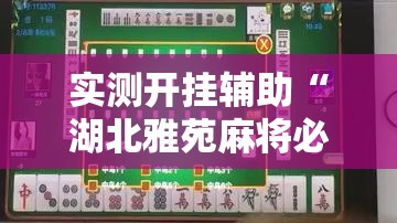 实测开挂辅助“湖北雅苑麻将必胜软件!辅助神器插件下载 实测开挂辅助“湖北雅苑麻将必胜软件!辅助神器插件下载