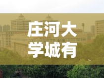 庄河大学城有几所大学—(庄河大学城地址学府大街) 庄河大学城有几所大学—(庄河大学城地址学府大街)
