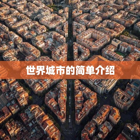 世界城市的简单介绍 世界城市的简单介绍