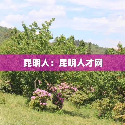 昆明人:昆明人才网 昆明人:昆明人才网
