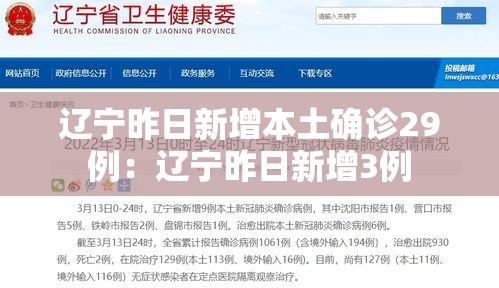 辽宁昨日新增本土确诊29例：辽宁昨日新增3例
