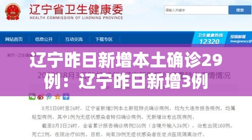 辽宁昨日新增本土确诊29例：辽宁昨日新增3例