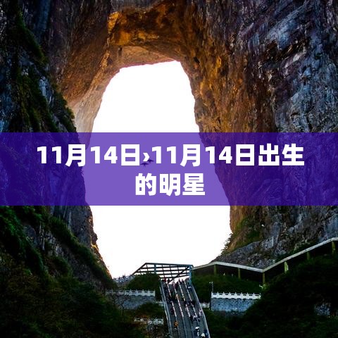 11月14日›11月14日出生的明星 11月14日›11月14日出生的明星