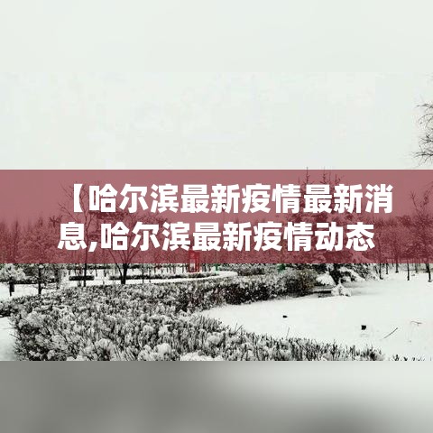 【哈尔滨最新疫情最新消息,哈尔滨最新疫情动态】 【哈尔滨最新疫情最新消息,哈尔滨最新疫情动态】