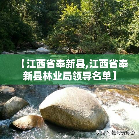 【江西省奉新县,江西省奉新县林业局领导名单】 【江西省奉新县,江西省奉新县林业局领导名单】