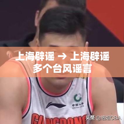 上海辟谣 → 上海辟谣多个台风谣言 上海辟谣 → 上海辟谣多个台风谣言