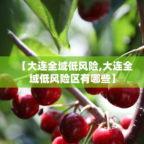 【大连全域低风险,大连全域低风险区有哪些】