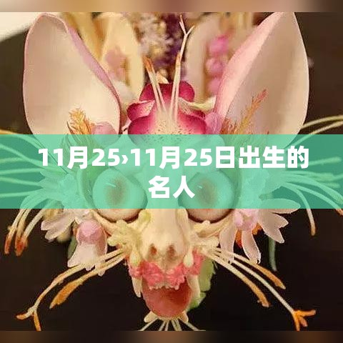 11月25›11月25日出生的名人