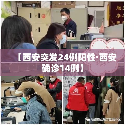 【西安突发24例阳性·西安确诊14例】 【西安突发24例阳性·西安确诊14例】