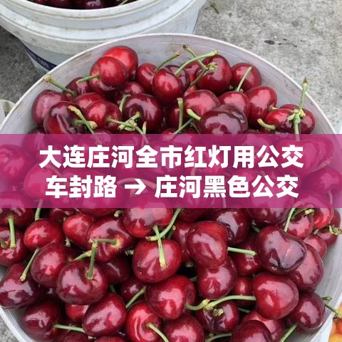 大连庄河全市红灯用公交车封路 → 庄河黑色公交车 大连庄河全市红灯用公交车封路 → 庄河黑色公交车