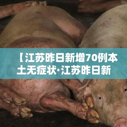 【江苏昨日新增70例本土无症状·江苏昨日新增本土确诊47例】 【江苏昨日新增70例本土无症状·江苏昨日新增本土确诊47例】