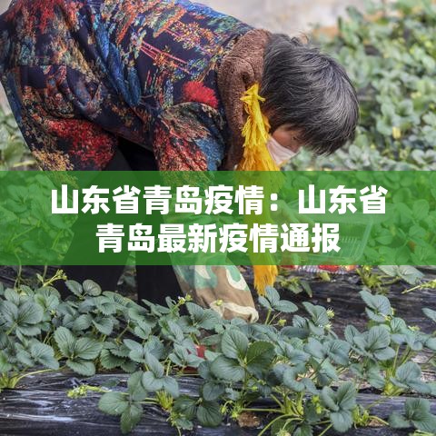 山东省青岛疫情：山东省青岛最新疫情通报