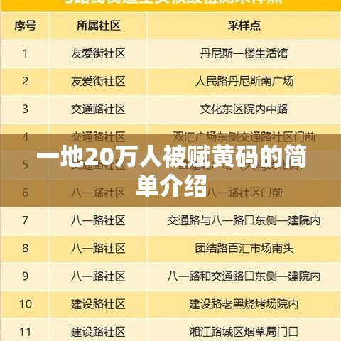 一地20万人被赋黄码的简单介绍 一地20万人被赋黄码的简单介绍