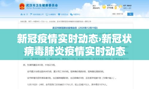新冠疫情实时动态›新冠状病毒肺炎疫情实时动态 新冠疫情实时动态›新冠状病毒肺炎疫情实时动态