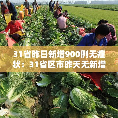 31省昨日新增900例无症状:31省区市昨天无新增本土确诊 31省昨日新增900例无症状:31省区市昨天无新增本土确诊