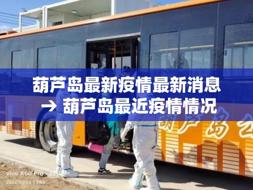 葫芦岛最新疫情最新消息 → 葫芦岛最近疫情情况
