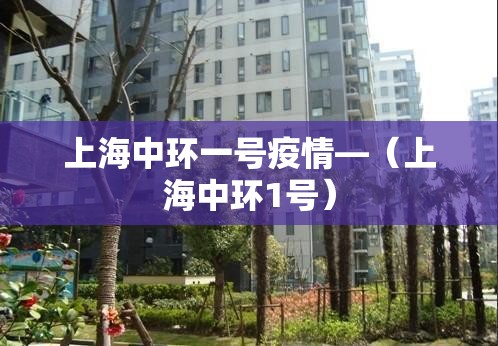 上海中环一号疫情—(上海中环1号) 上海中环一号疫情—(上海中环1号)