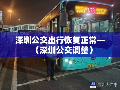 深圳公交出行恢复正常—(深圳公交调整) 深圳公交出行恢复正常—(深圳公交调整)