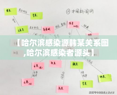 【哈尔滨感染源韩某关系图,哈尔滨感染者源头】